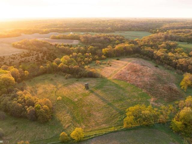 Land for sale in Birmingham, Iowa