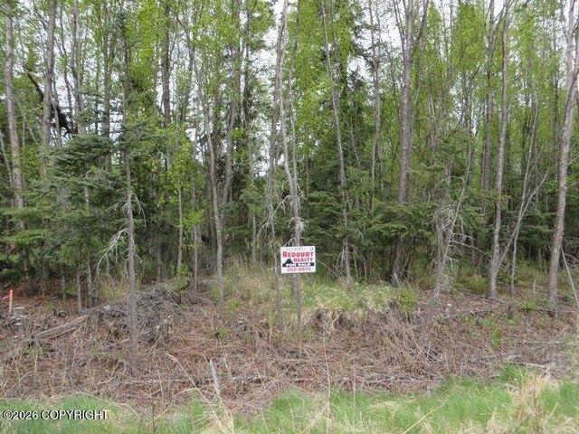 Land for sale in Kasilof