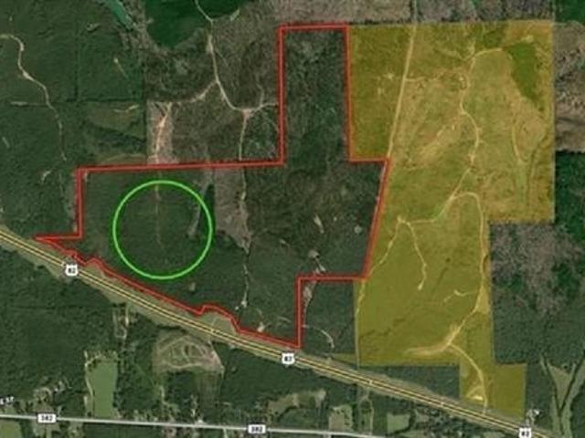 Land for sale in Centreville, Alabama