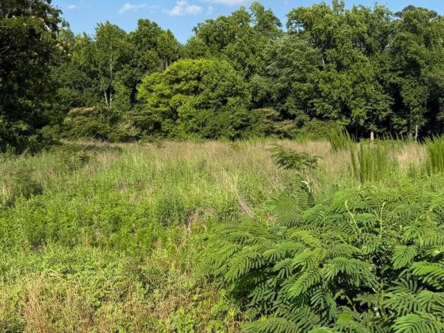 Land for sale in Dunn, North Carolina