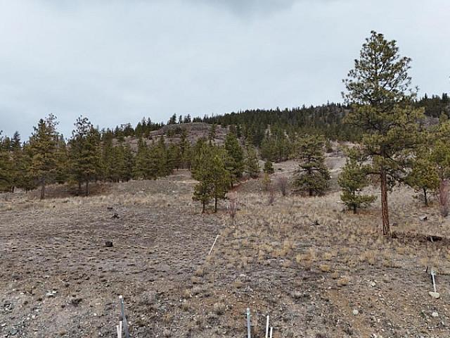 Land for sale in Merritt, British Columbia