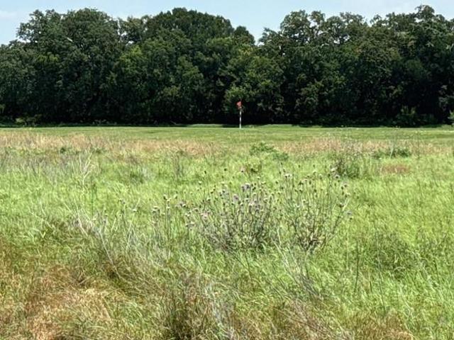 Land for sale in Whitney, Texas
