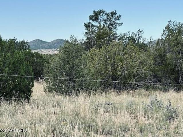 Land for sale in Seligman, Arizona