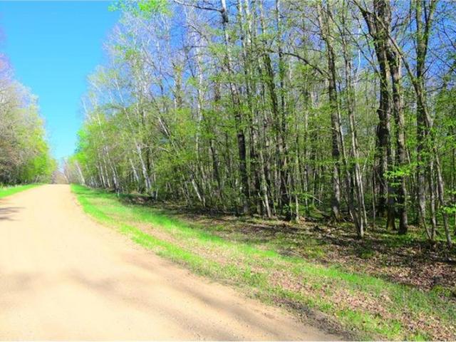 Land for sale in Todd, Minnesota