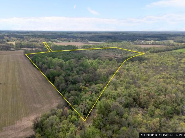 Land for sale in Tennessee