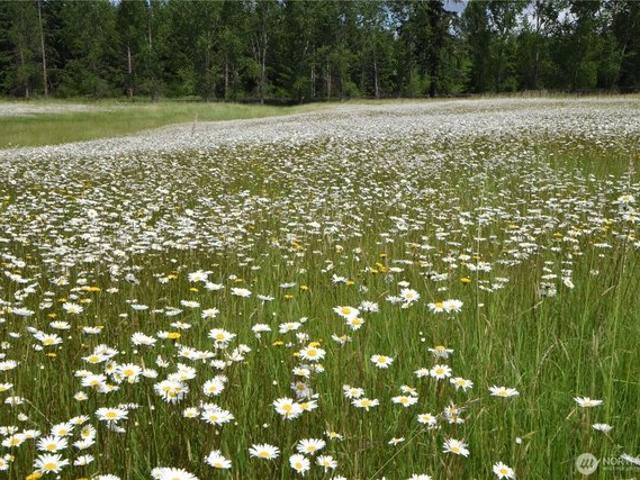 Land for sale in Roy, Washington