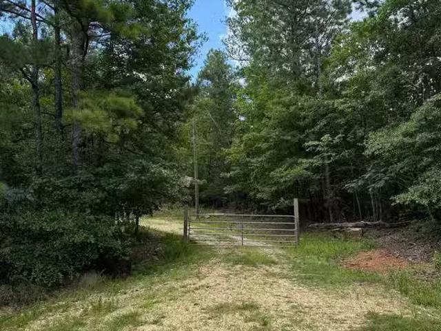 House for rent in Alabaster House for rent in Alabaster