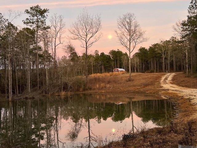 Land for sale in Angie, Louisiana