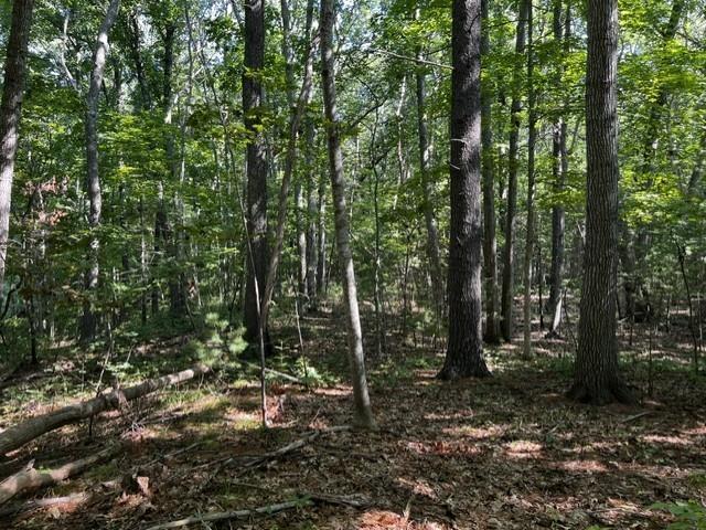 Land for sale in New Hampshire