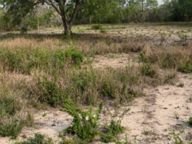 Land for sale in Three Rivers, Texas