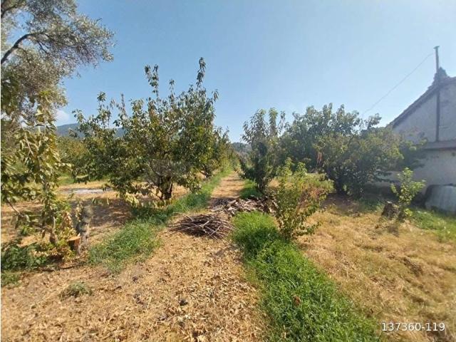 Karabağlar, İzmir içerisinde satılık mülk