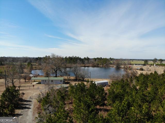 House for sale in Rhine, Georgia