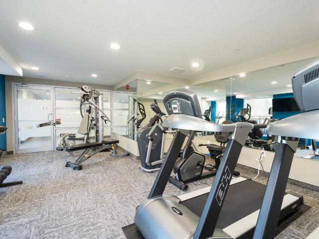Apartment for rent in Arva, Ontario