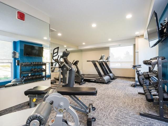 Apartment for rent in Arva, Ontario