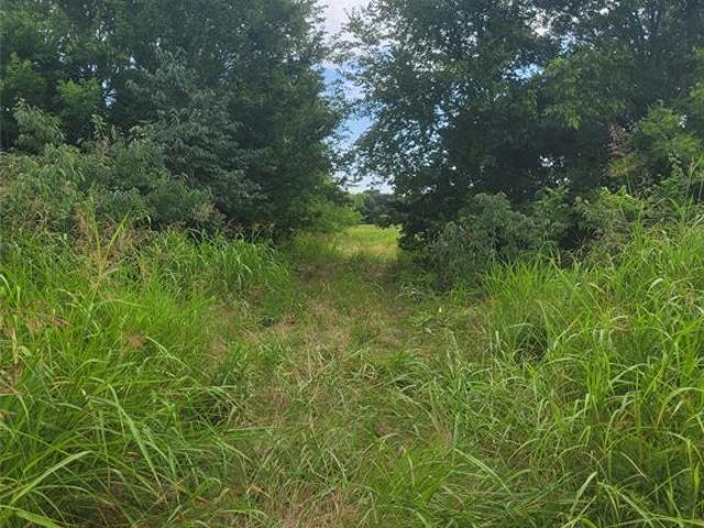 Land for sale in Lamar, Texas