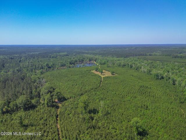 Land for sale in Wiggins, Mississippi