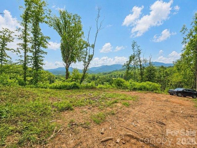 Land for sale in Haywood, North Carolina
