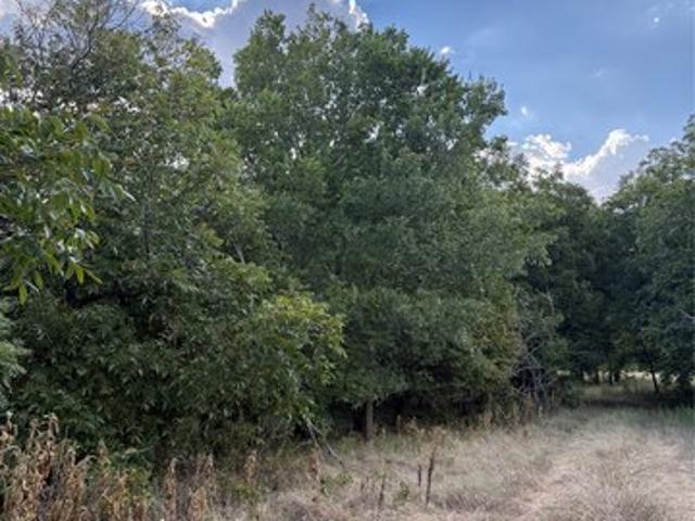 Land for sale in Jacksboro, Texas