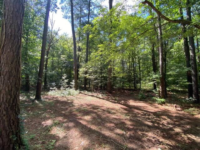 House for sale in Locksville, Melfa