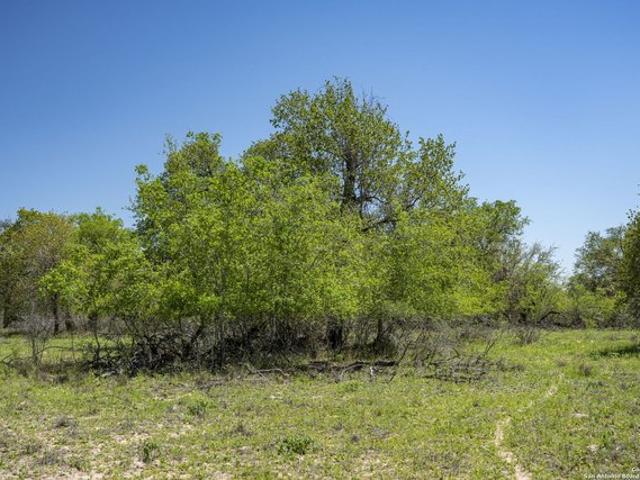 Land for sale in Medina, Texas