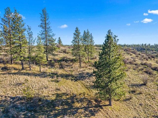 Land for sale in Creston, Washington