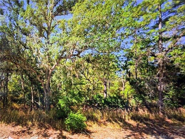 Land for sale in Beverly Hills, Florida