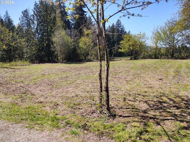 Land for sale in Springwater, Gresham