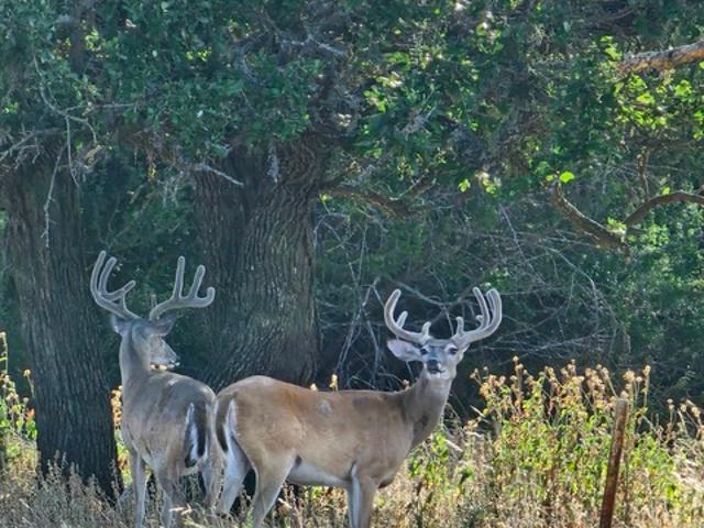 Farm for sale in Edwards, Texas