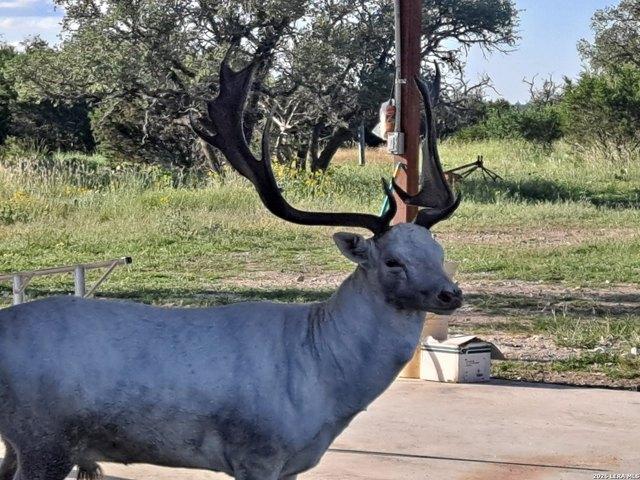 Farm for sale in Edwards, Texas