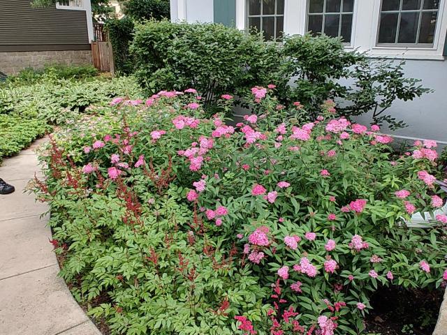 House for sale in East Isles, Minneapolis