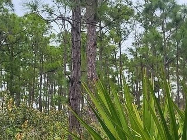 Land for sale in Punta Gorda, Florida