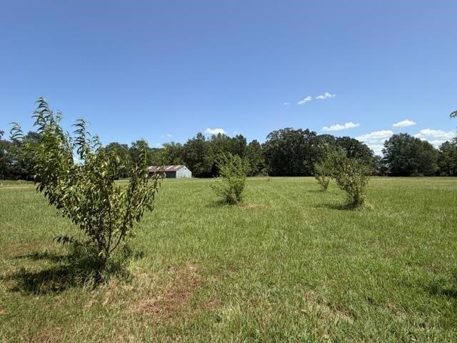 Land for sale in Titus, Texas