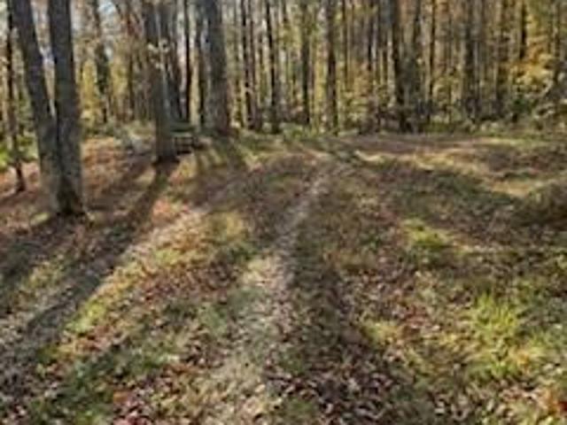 Land for sale in Cedar Lake, Wisconsin