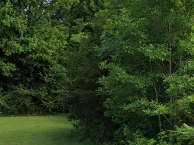 Land for sale in Ecru, Pontotoc County
