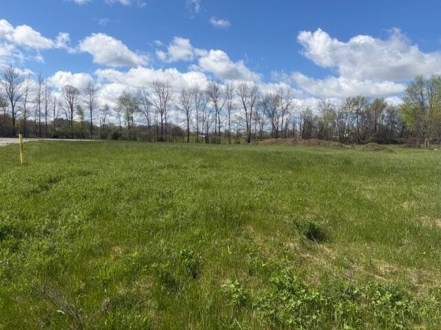 Land for sale in Grant, Michigan