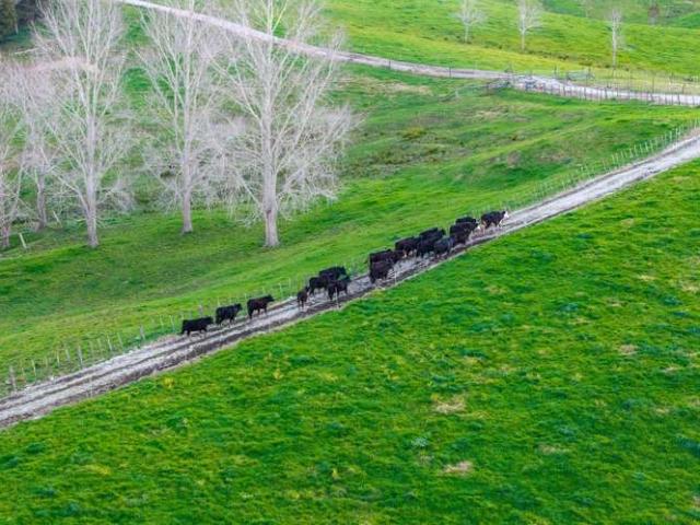 Property for sale in Maungaturoto, Northland
