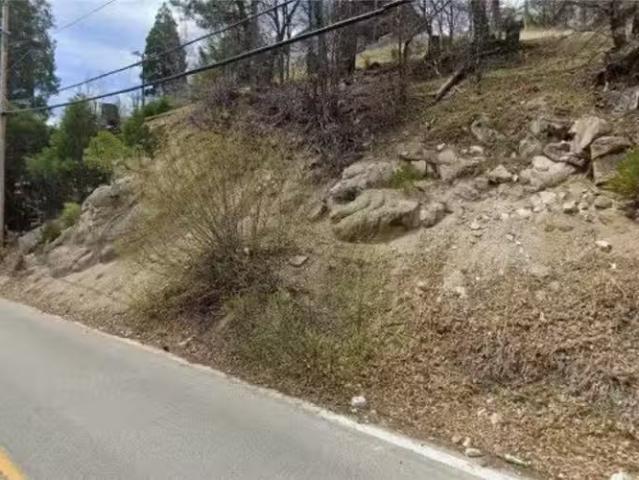 House for rent in Cedar Glen, California