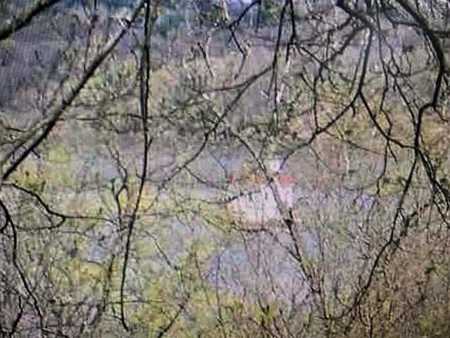 Land for sale in Connelly, New York