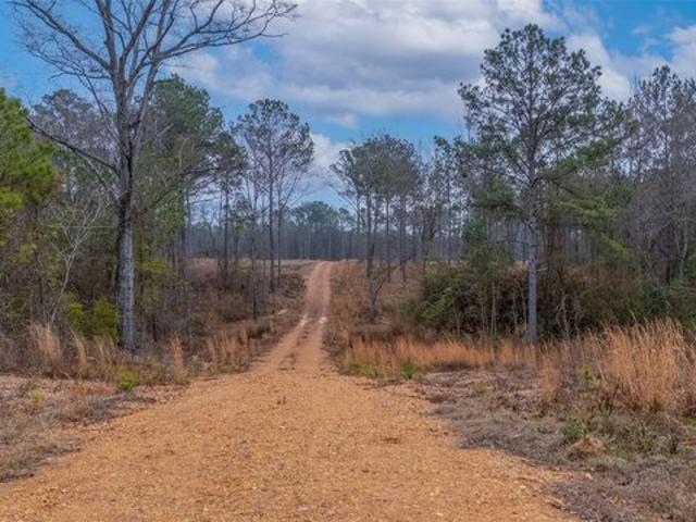 Land for sale in Wetumpka, Elmore County