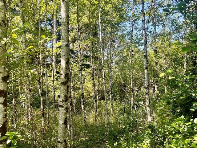 Land for sale in Nahcotta, Ocean Park