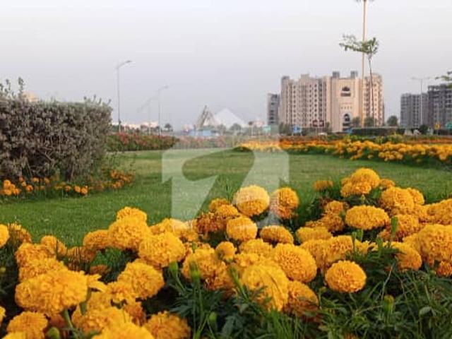 Property for sale in North Waziristan, Federally Administered Tribal Areas fata
