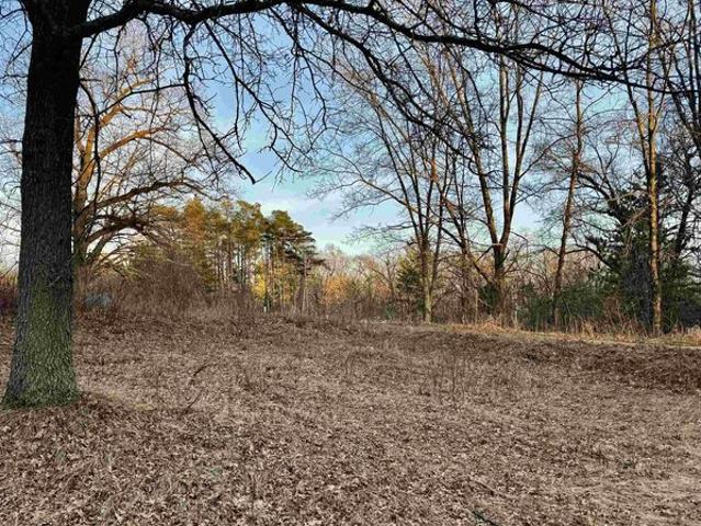 Land for sale in Clare, Michigan