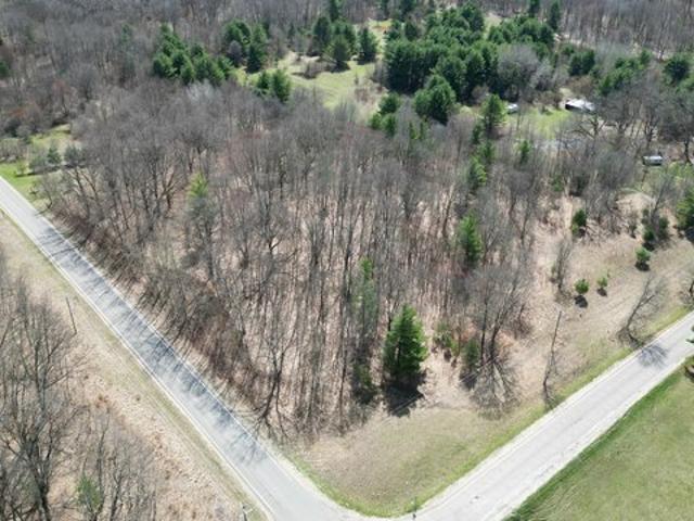 Land for sale in White Cloud, Michigan