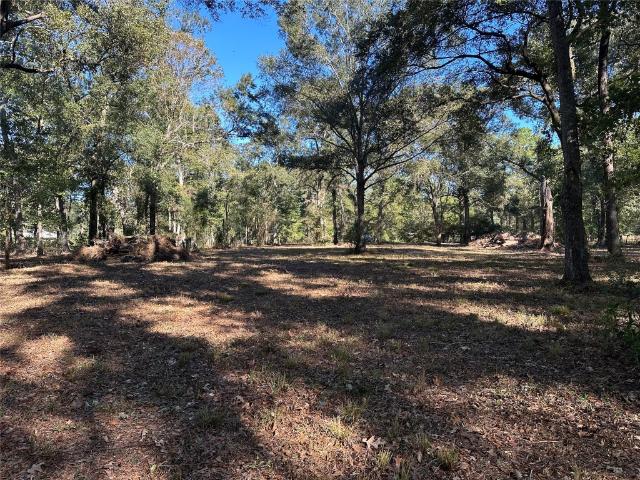 Land for sale in Splendora, Texas