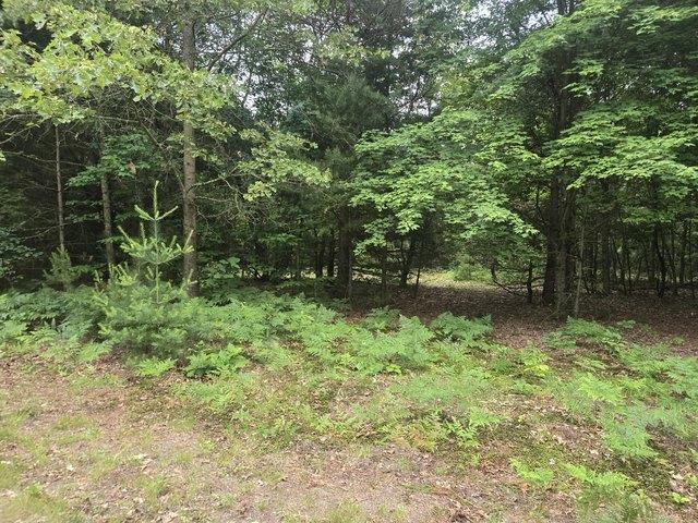 Land for sale in Shelby, Michigan