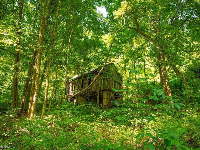 Land for sale in Caldwell, Noble County
