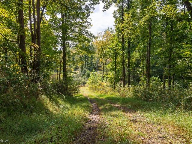 Land for sale in Caldwell, Noble County