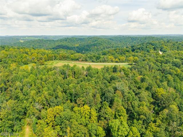 Land for sale in Caldwell, Noble County