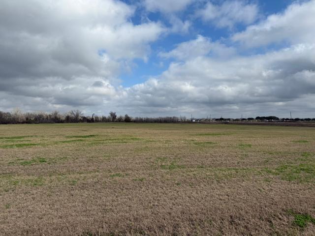 Land for sale in Rosenberg, Texas