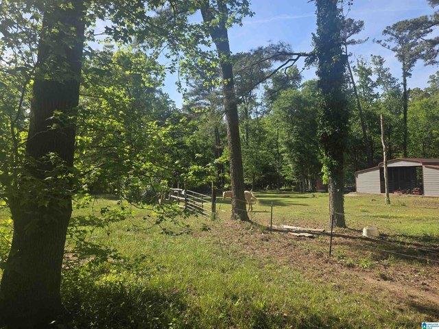 Land for sale in Adamsville, Alabama